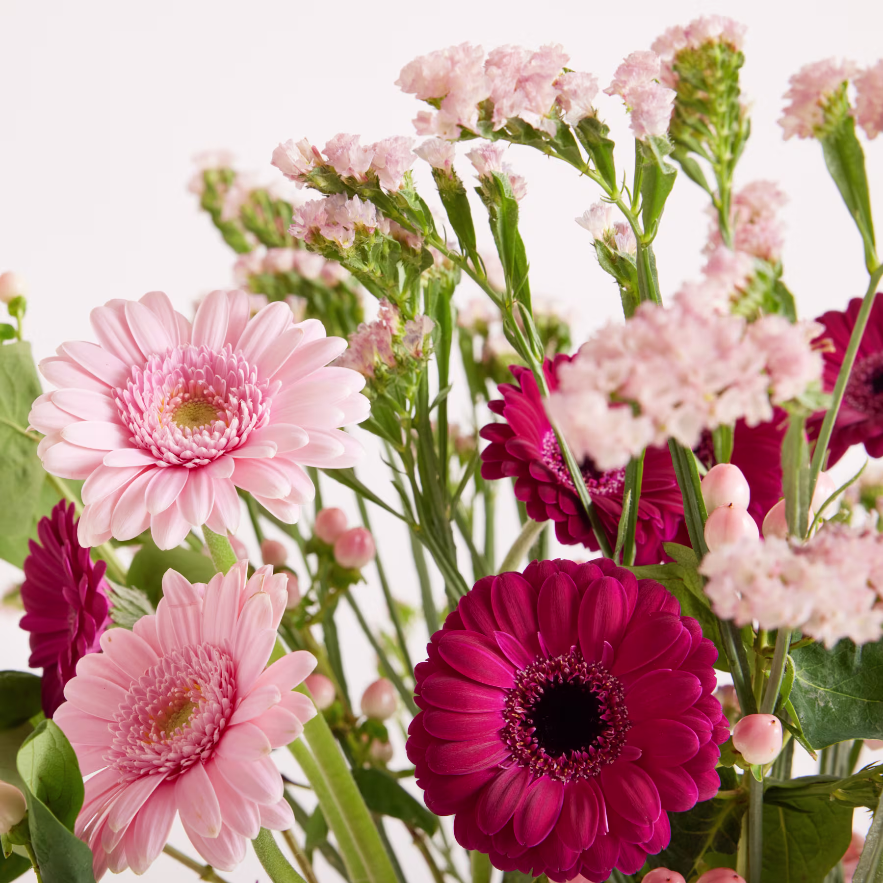 Ein Strauß aus rosa und magentafarbenen Gerbera-Gänseblümchen und zarten rosa Füllblumen ist vor einem sanften weißen Hintergrund arrangiert. (Beschreibungstext KI-generiert)