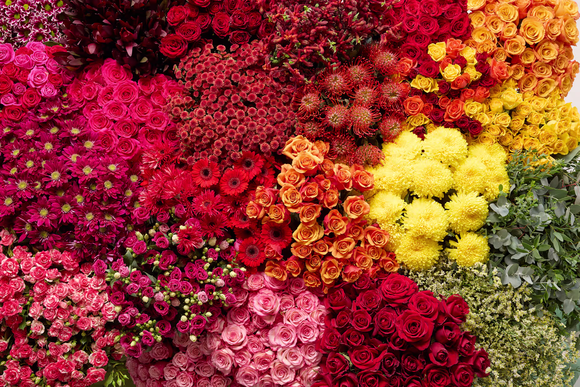 Im Vordergrund prangt ein lebhaftes, detailreiches Arrangement aus verschiedenen bunten Blumen, im Hintergrund ist ein weiches, unscharfes Grün zu sehen. (Beschreibungstext KI-generiert)