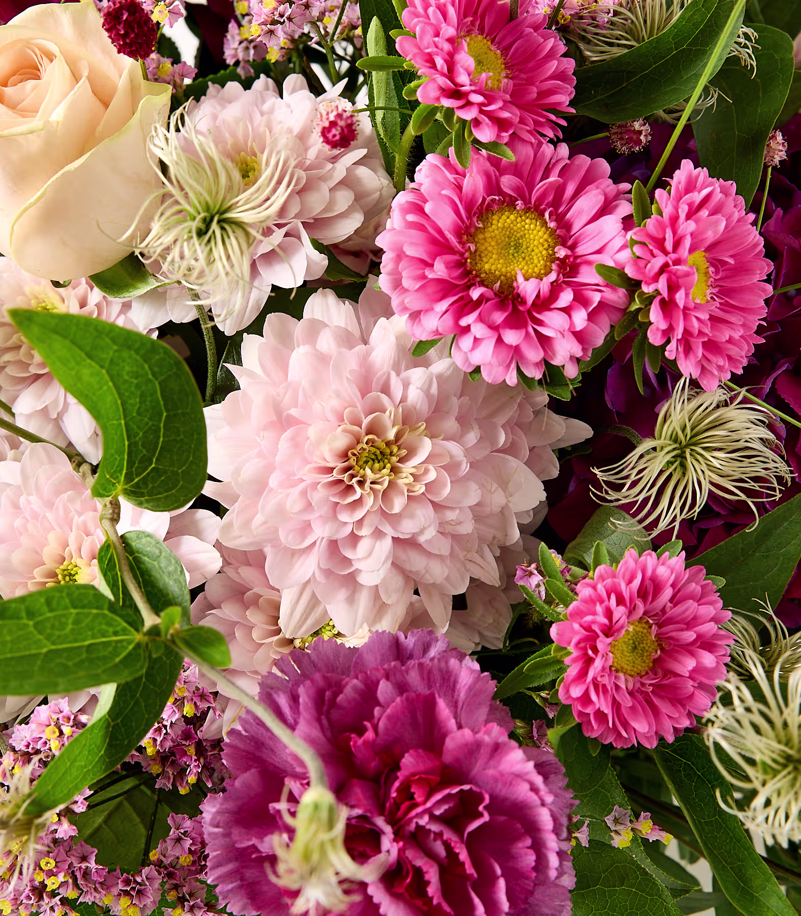 Eine Nahaufnahme eines leuchtenden Straußes aus rosa und cremefarbenen Blüten mit üppigen grünen Blättern füllt das Bild. (Beschreibungstext KI-generiert)