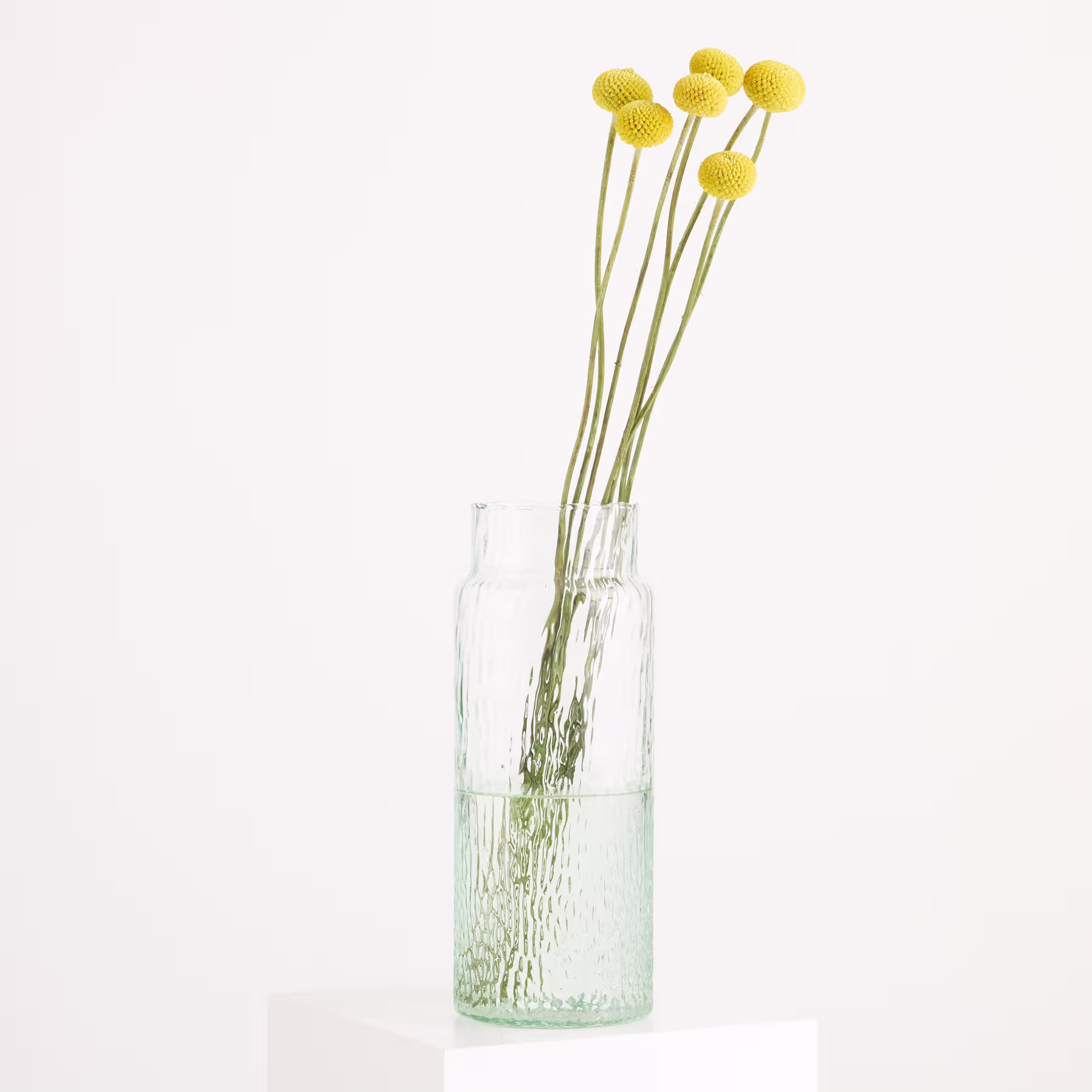 Eine durchsichtige, strukturierte Glasvase, die mehrere gelbe Craspedia-Blüten enthält, steht auf einer weißen Fläche vor einem schlichten weißen Hintergrund. (Beschreibungstext KI-generiert)