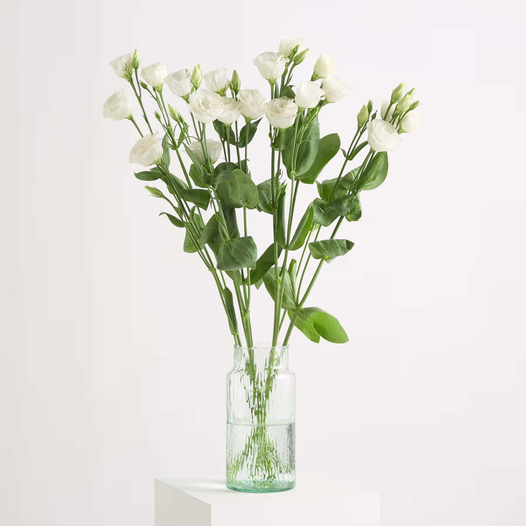 Ein Strauß weißer Lisianthusblüten mit grünen Blättern steht in einer durchsichtigen Glasvase auf einer weißen Oberfläche vor weißem Hintergrund. (Beschreibungstext KI-generiert)