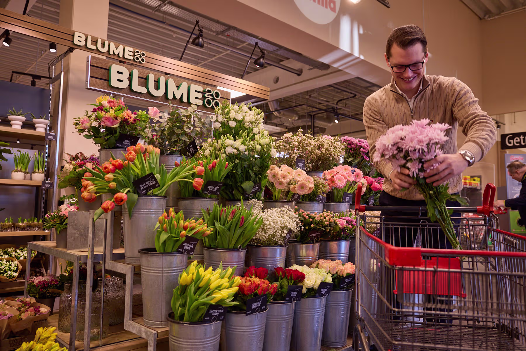 Ein Mann in einem beigen Pullover wählt einen Strauß rosa Blumen aus einer lebhaften Auswahl an Tulpen und anderen Blüten in Eimern aus; im Hintergrund ist ein Supermarktgang zu sehen. (Beschreibungstext KI-generiert)