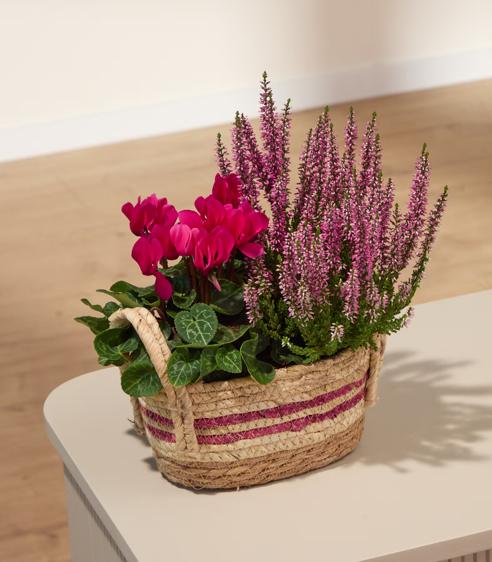 Ein geflochtener Korb, gefüllt mit leuchtend pinkfarbenen Alpenveilchen und zartem lila Heidekraut, steht auf einer hellen Fläche, im Hintergrund ist eine sanft beleuchtete Wand zu sehen. (Beschreibungstext KI-generiert)