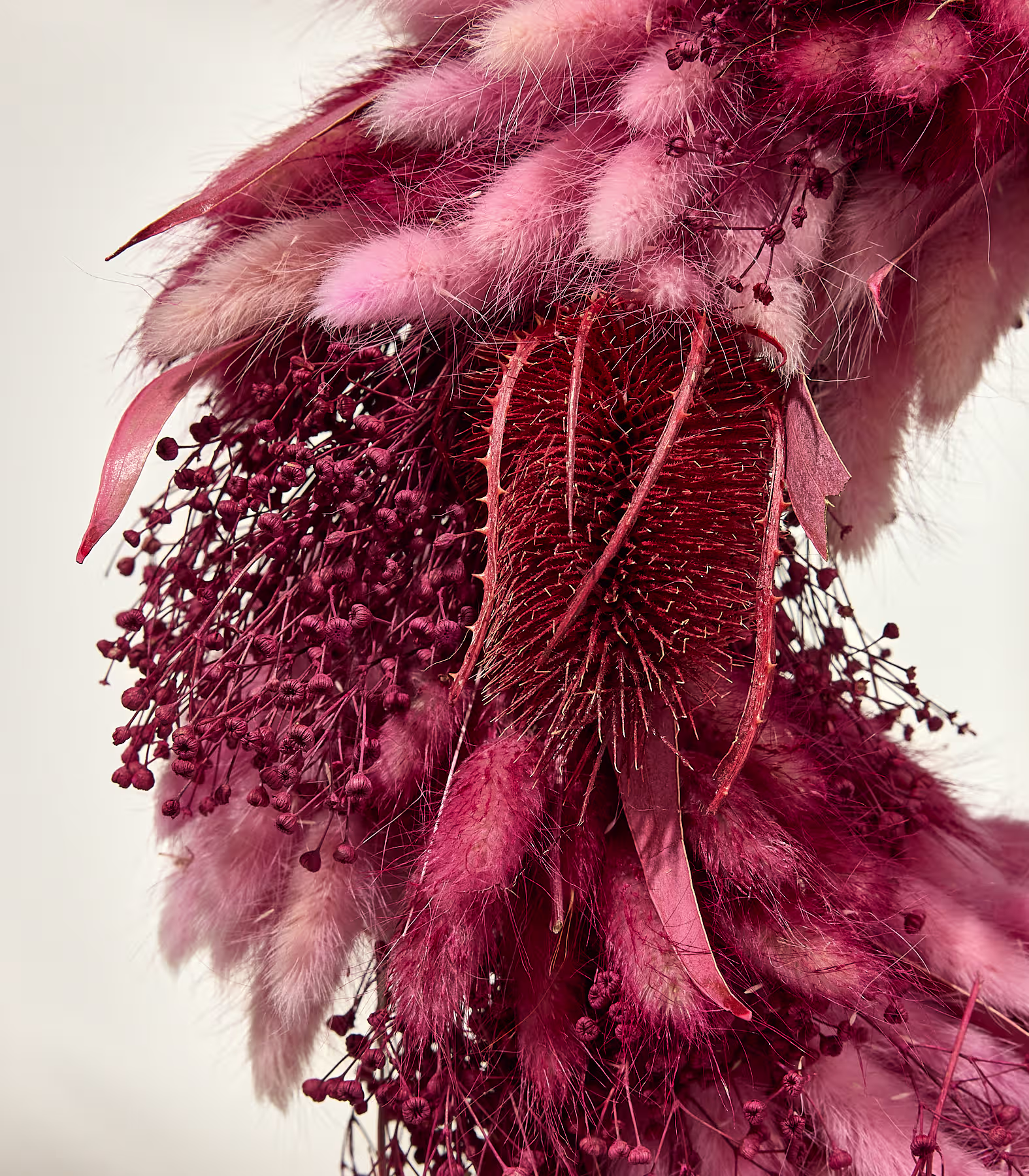 Nahaufnahme eines rosa Blumenkranzes mit flauschigen Hasenschwänzchen und zarten Samenkapseln im Vordergrund vor einem schlichten weißen Hintergrund. (Beschreibungstext KI-generiert)