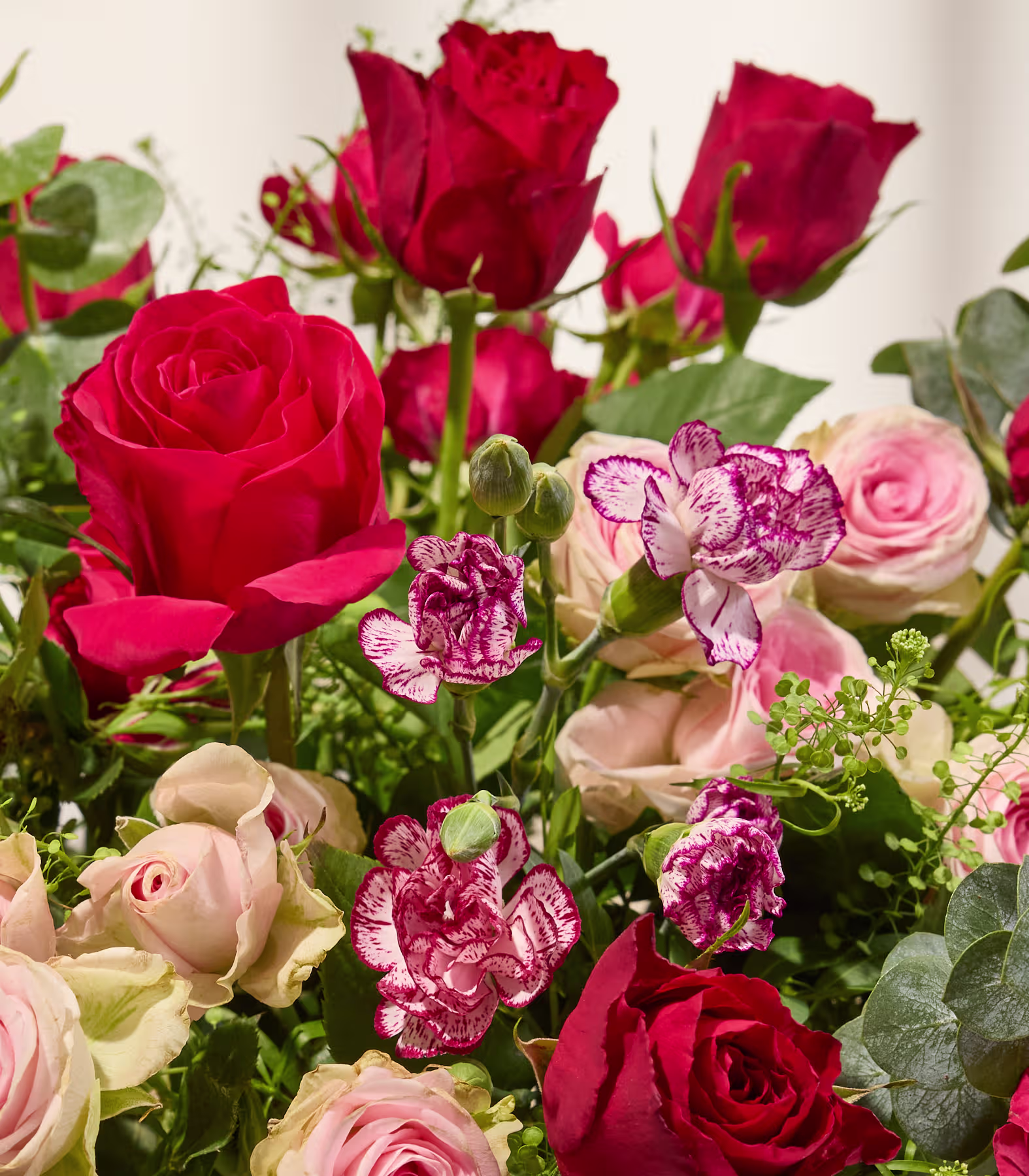 Ein großer, farbenprächtiger Strauß roter Rosen und rosa Nelken, gehalten von einer Person in einem bordeauxroten Hemd vor einem schlichten weißen Hintergrund. (Beschreibungstext KI-generiert)