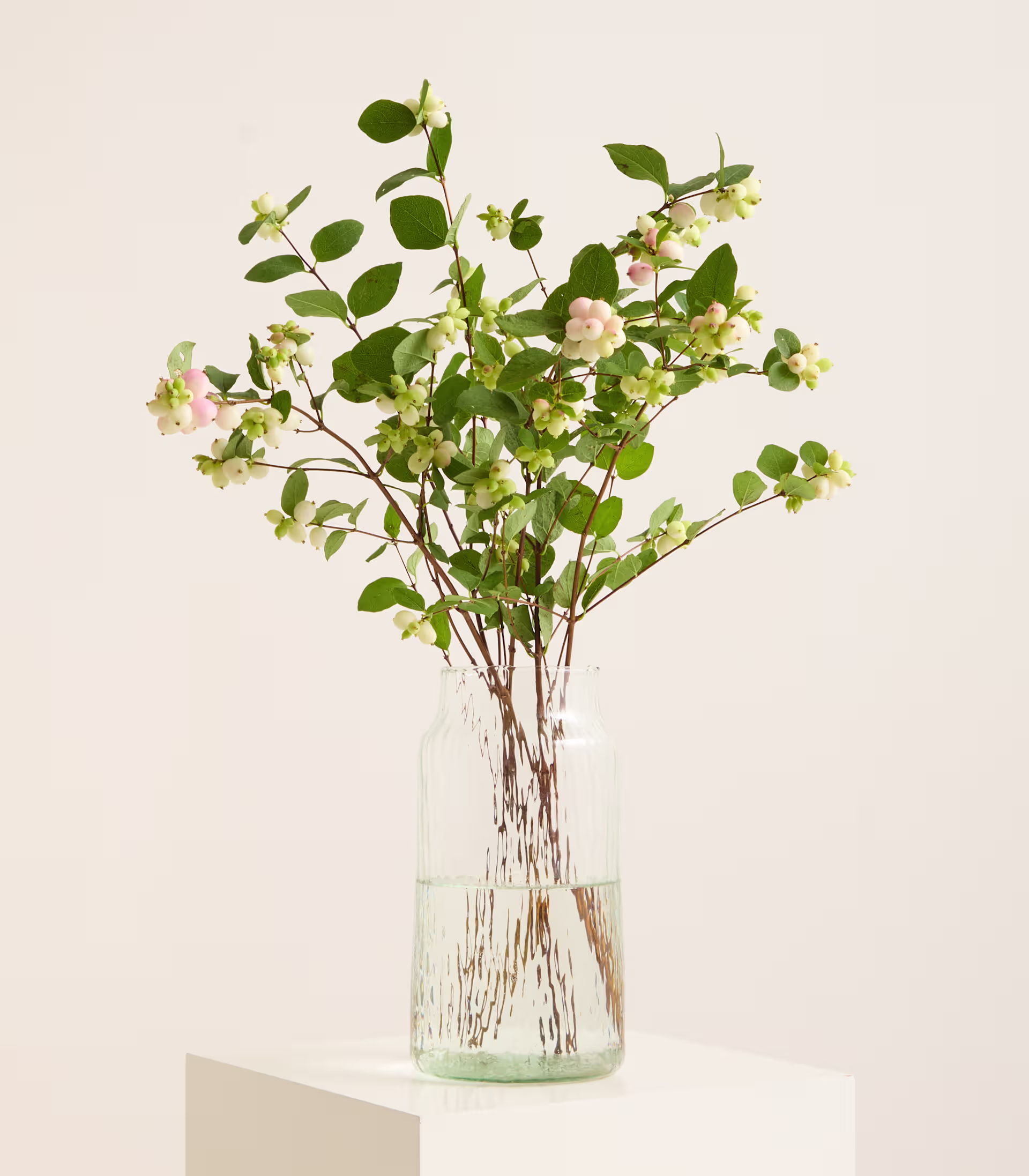 Eine durchsichtige Glasvase, gefüllt mit Wasser und zarten rosa und weißen Blüten mit grünen Blättern, steht auf einem weißen Sockel vor einem sanften, neutralen Hintergrund. (Beschreibungstext KI-generiert)