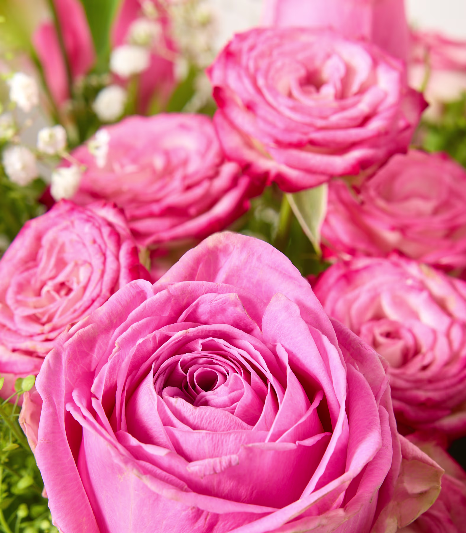 Eine junge Frau mit langen braunen Haaren hält vor einem schlichten weißen Hintergrund einen leuchtenden Strauß aus rosa Rosen und anderen Blumen. (Beschreibungstext KI-generiert)