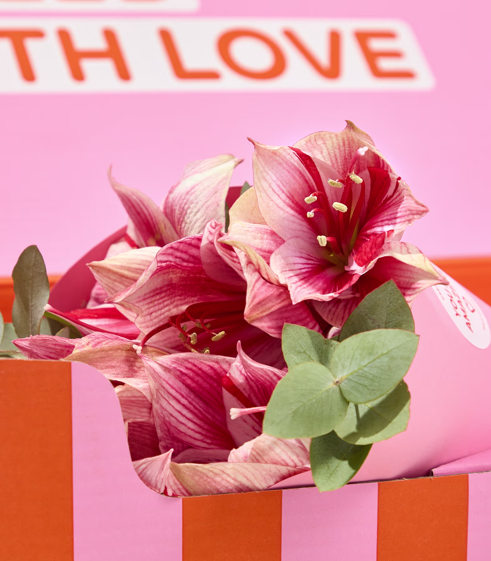 Ein Strauß rosa und roter Lilien mit grünen Blättern befindet sich in einer rosa-orange gestreiften Schachtel vor einem rosa Hintergrund mit der Aufschrift „MIT LIEBE“. (Beschreibungstext KI-generiert)