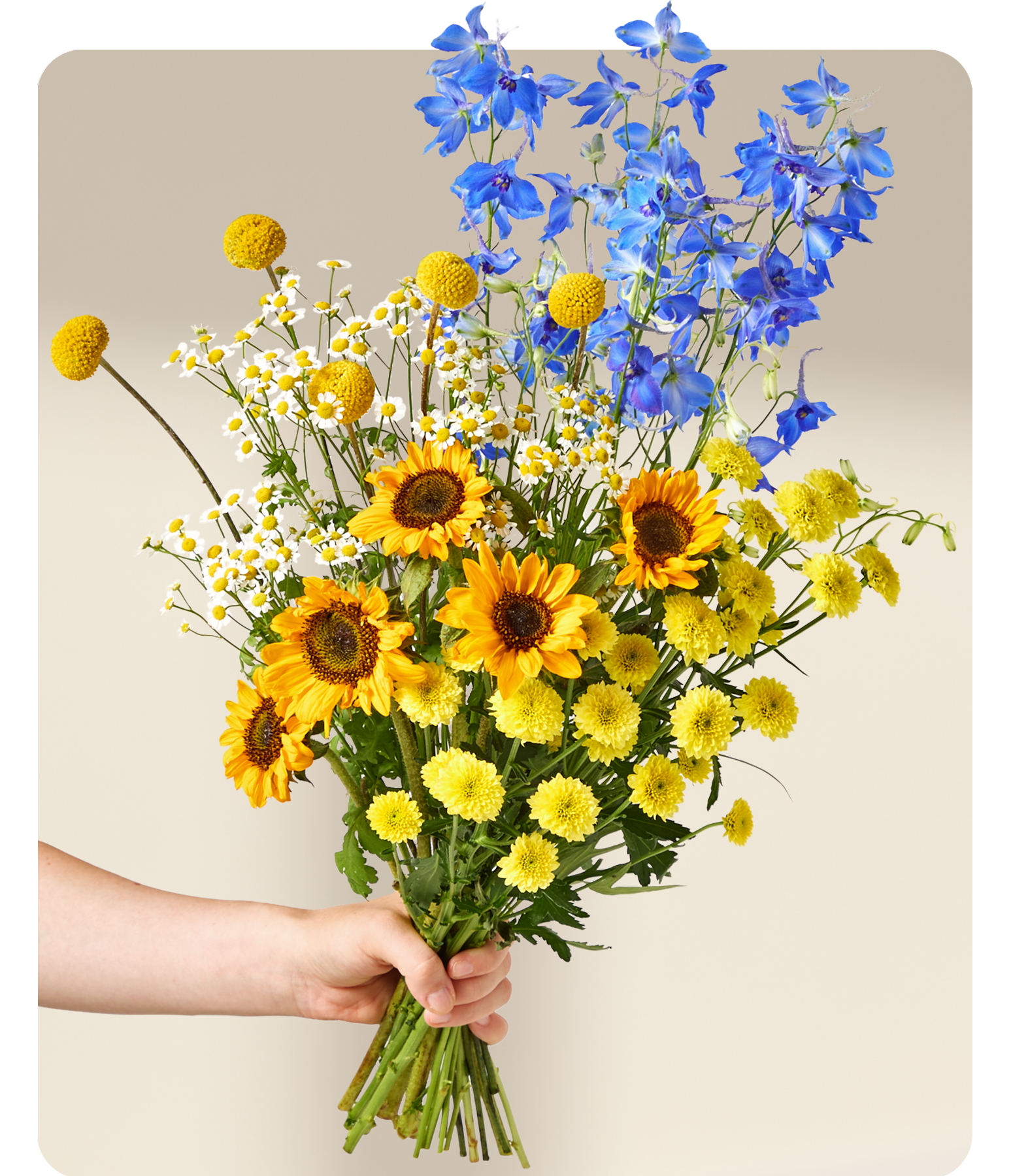 Eine Hand hält einen leuchtenden Strauß aus Sonnenblumen, Gänseblümchen und blauen Ritterspornen vor einem sanften, neutralen Hintergrund.