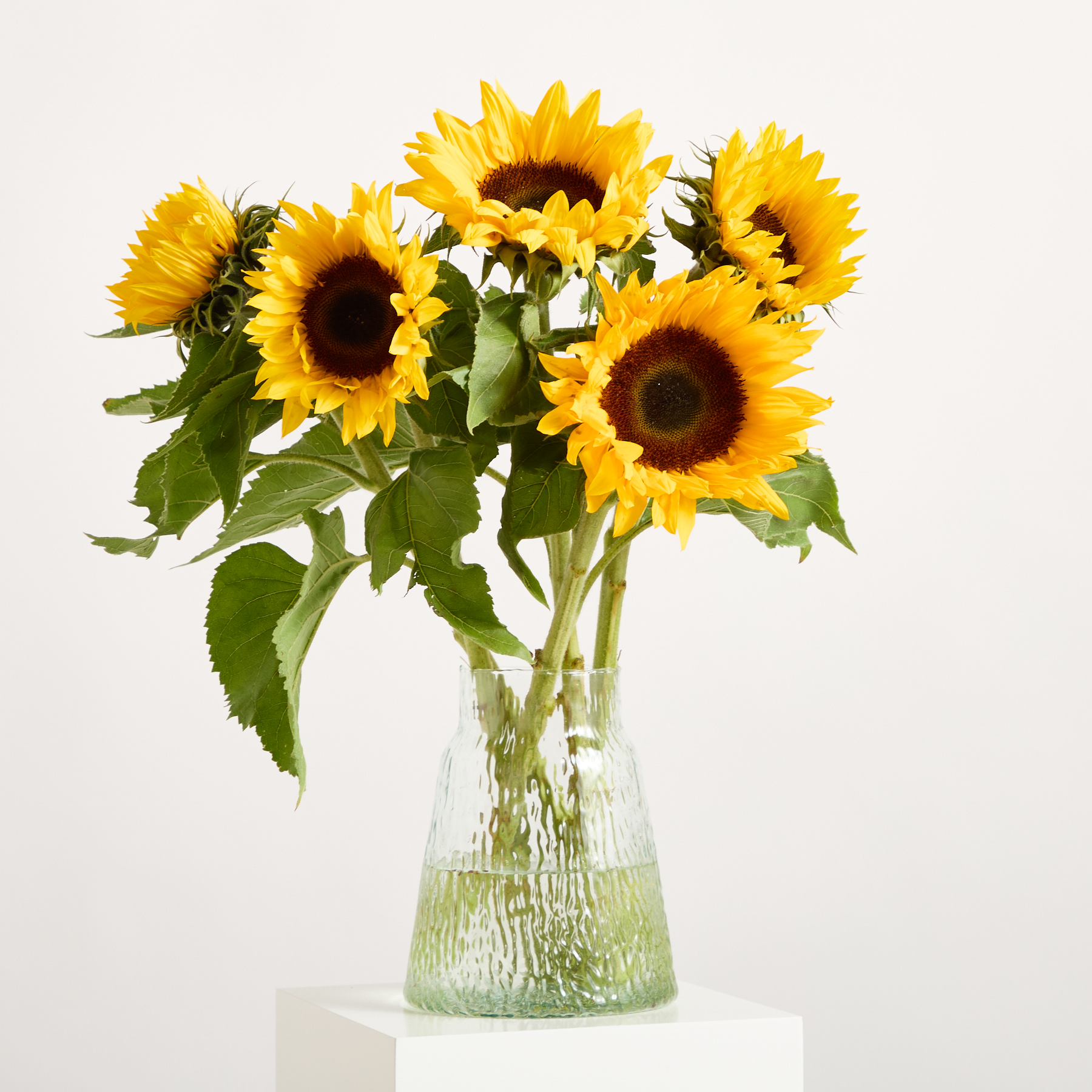 Sonnenblumenstrauß bestellen & verschicken