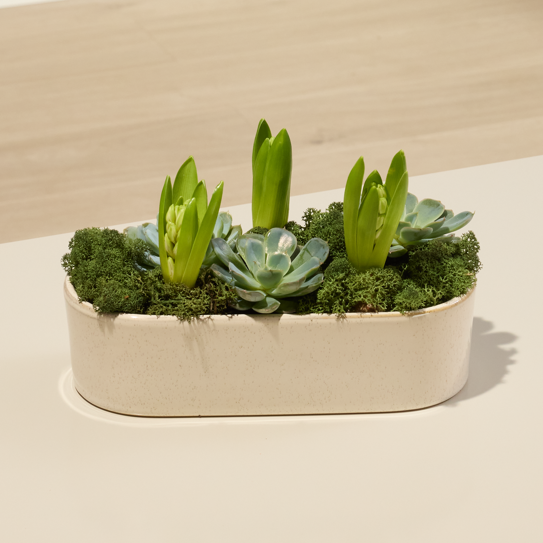 DIY Hyazinthen Schale Wei diy-hyazinthen-schale-wei