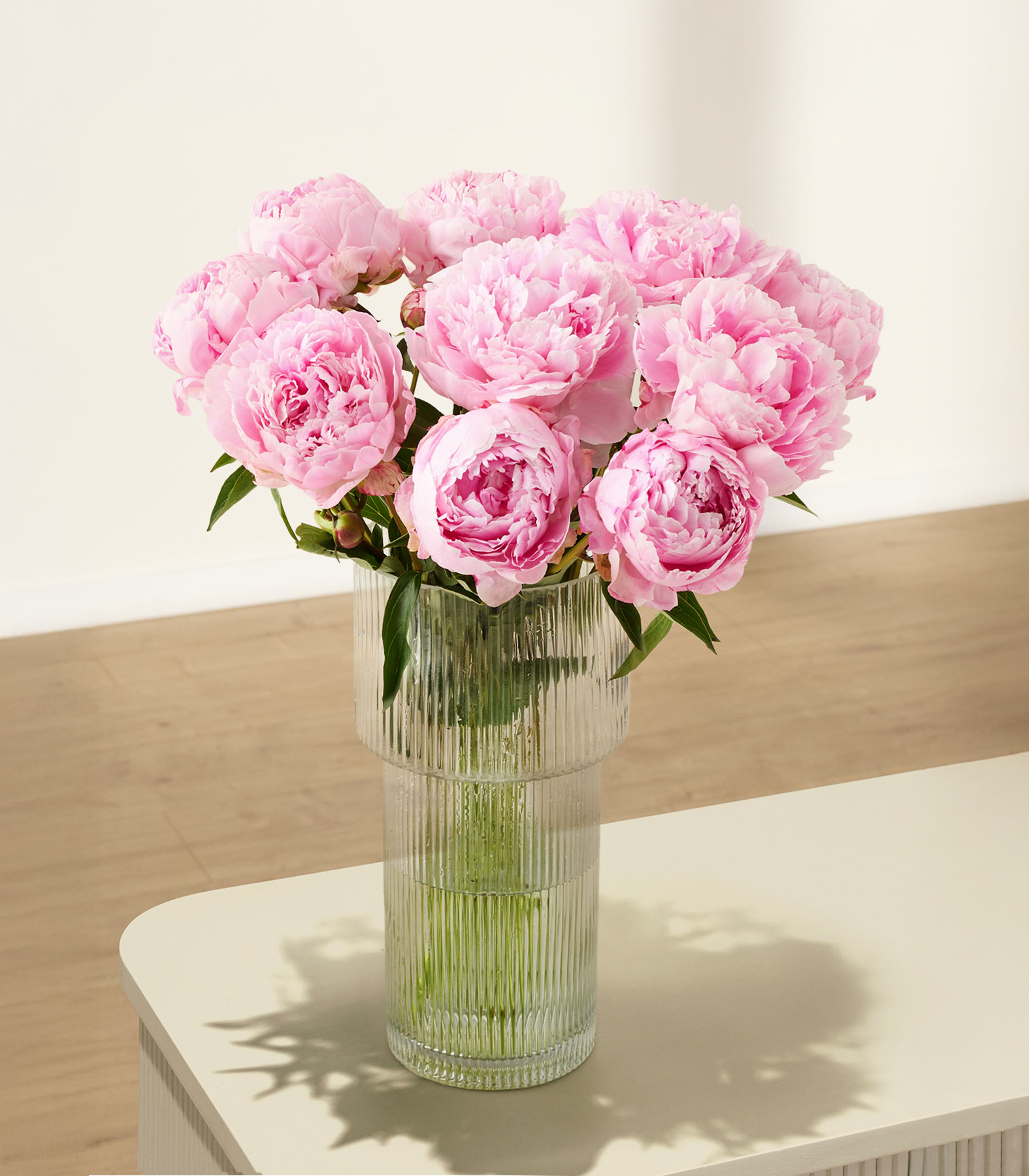 Rosa Pfingstrosen