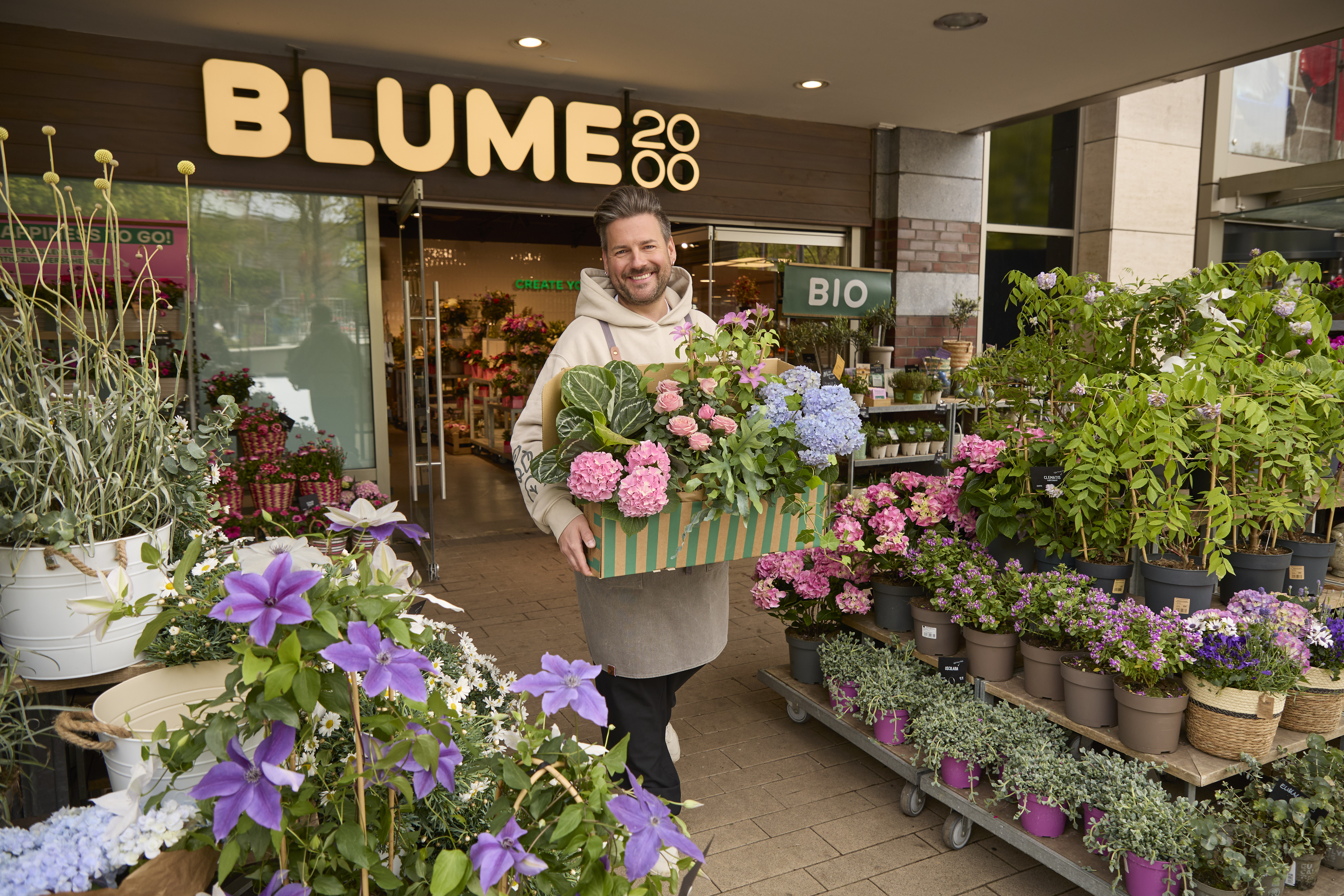 Pflanzen online kaufen | BLUME2000