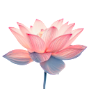 Lotosblume