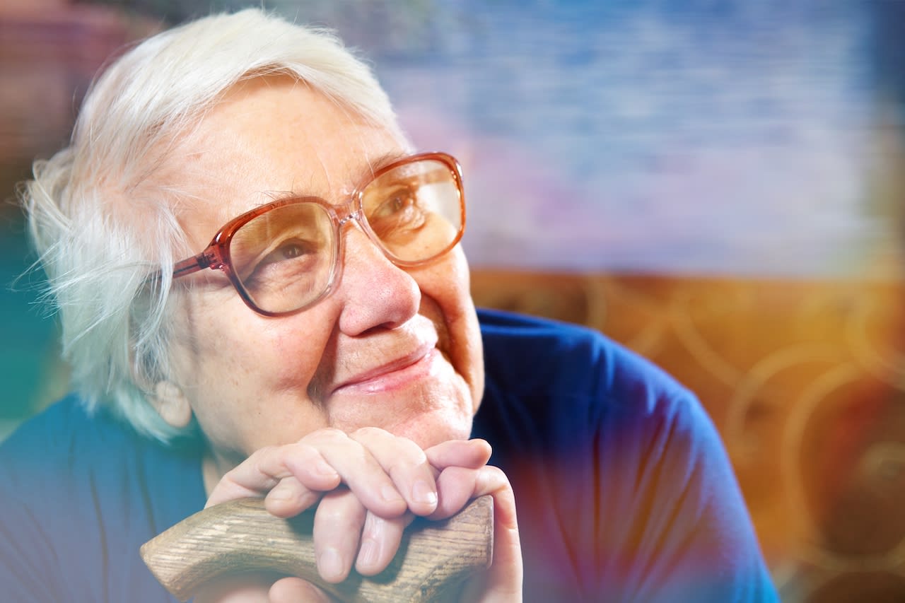 Semiperdo Senior