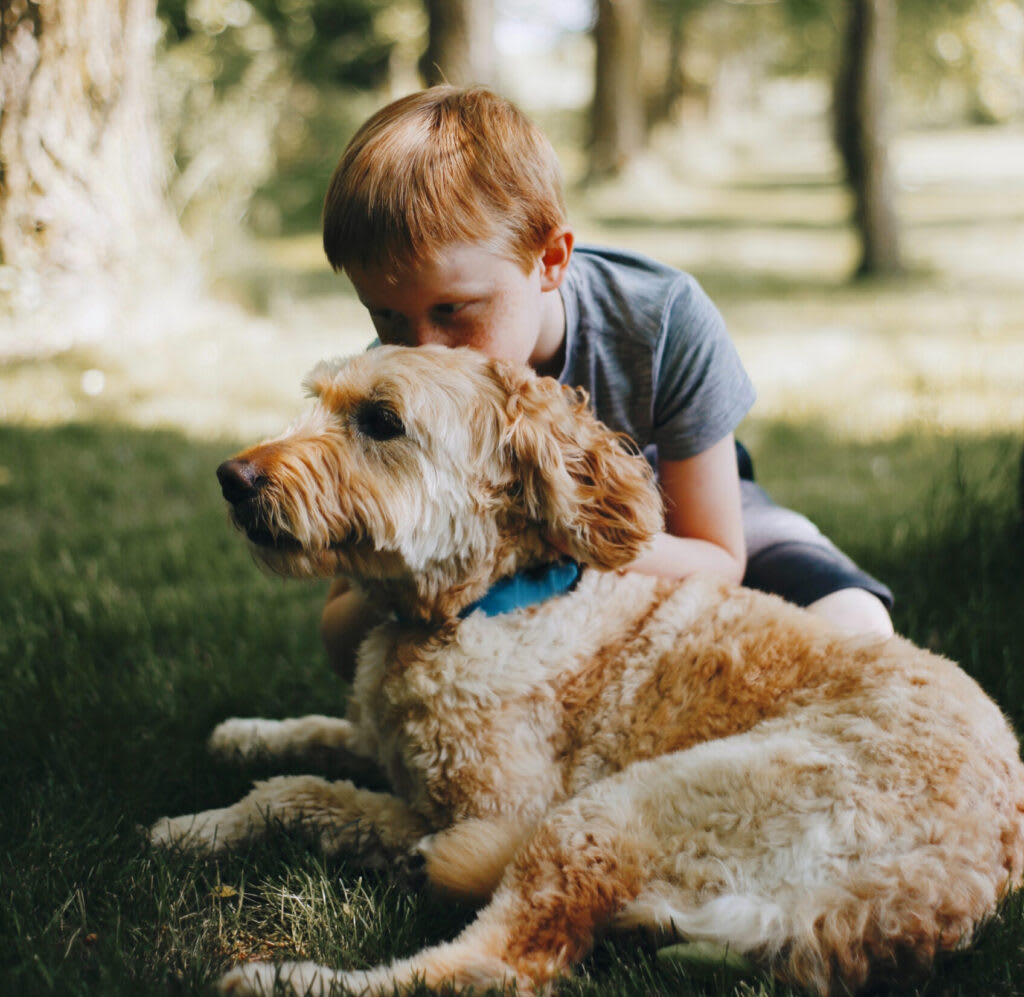 I vantaggi della pet therapy
