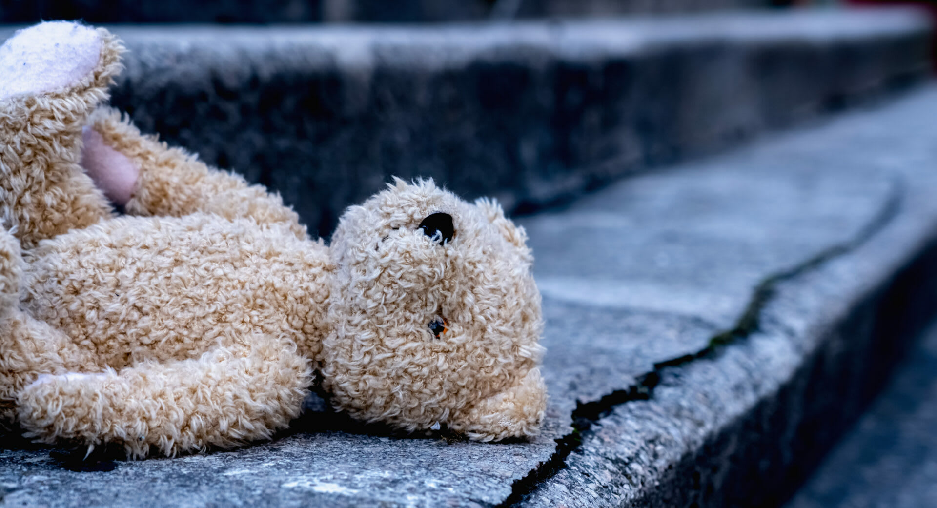 Bambini scomparsi: i numeri e le informazioni per una maggiore consapevolezza