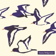 Servietter Oyster Catchers lunsj