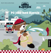 Bjørnis : På jobb med Bjørnis