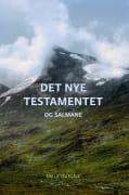 Bibel 2011 medium friluftsutgåve NT og Salmane - nynorsk