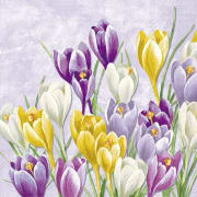 Servietter Blooming Crocus Lilac kaffe