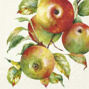 Servietter Home Grown Apples kaffe