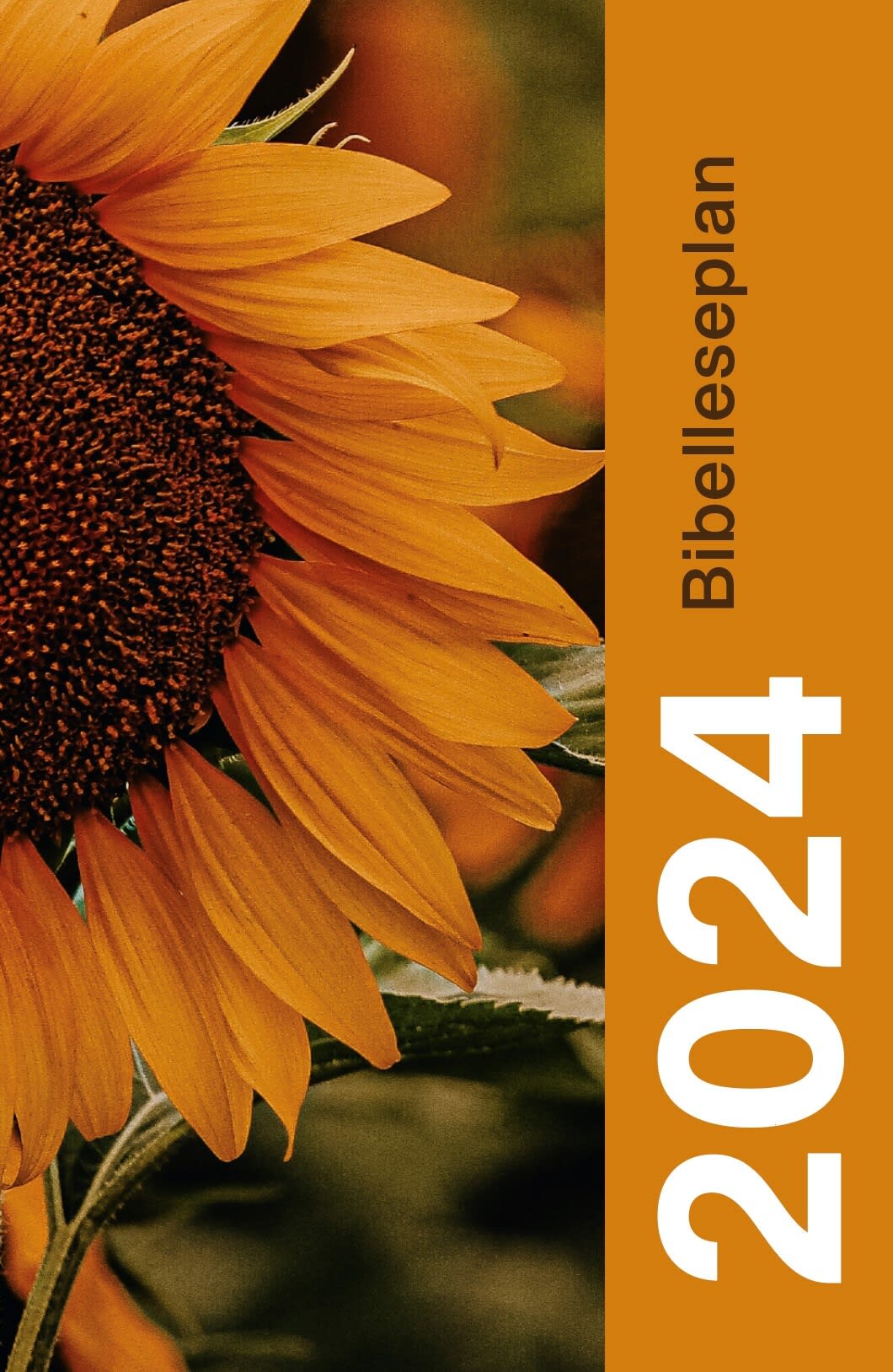 Bibelleseplan 2024 Bok & Media