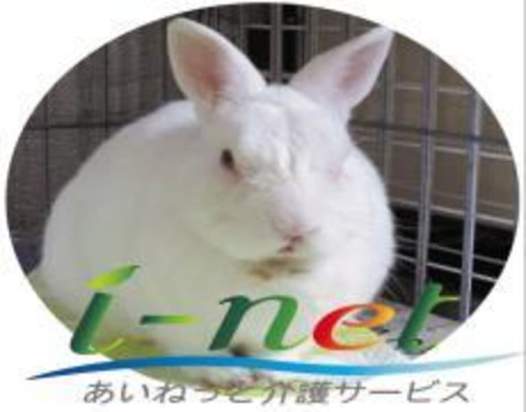 あいねっと介護サービス伊豆長岡 伊豆の国市 の介護求人 採用情報 カイゴジョブ 介護職の求人 転職 仕事探し