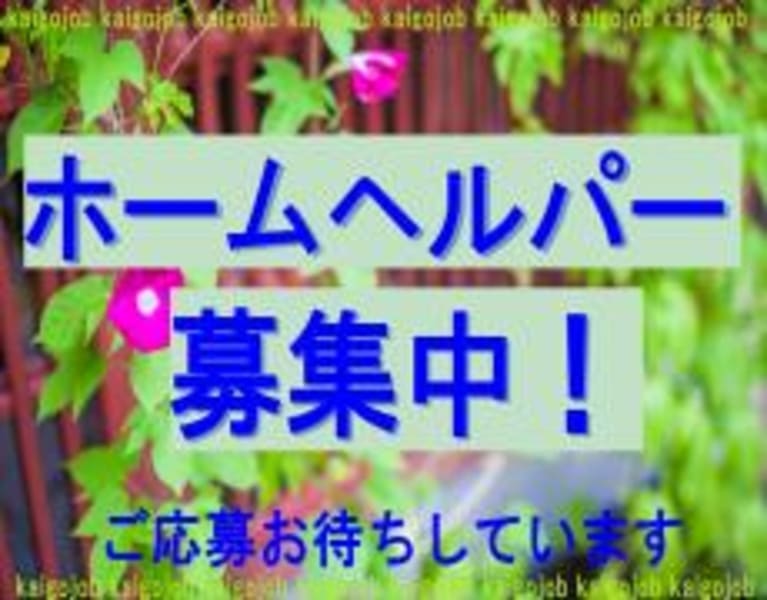 有限会社ナイスケア 新宿区 の介護職員 ヘルパー 正社員 の求人 採用情報 カイゴジョブ 介護職の求人 転職 仕事探し