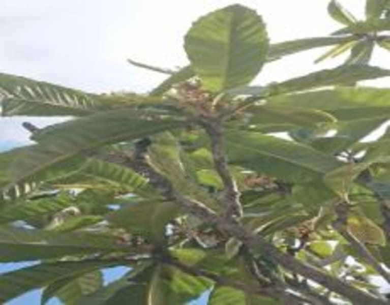 福岡県の作業療法士 Ot 求人 転職情報 カイゴジョブ 介護職の求人 転職 仕事探し