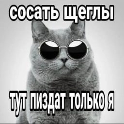NIFISS