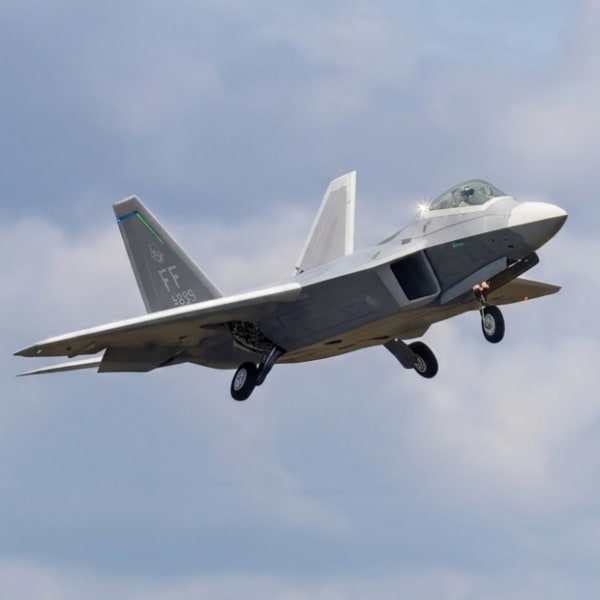 RC Pesawat Aeromodelling F-22 Raptor Freewing