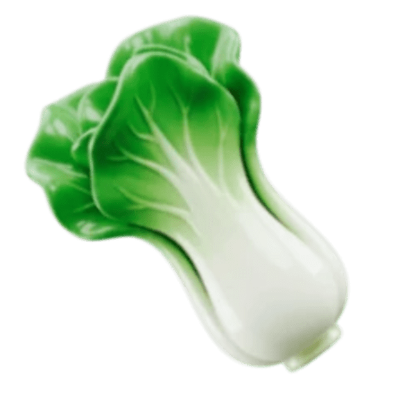 Mulus Vegetabel