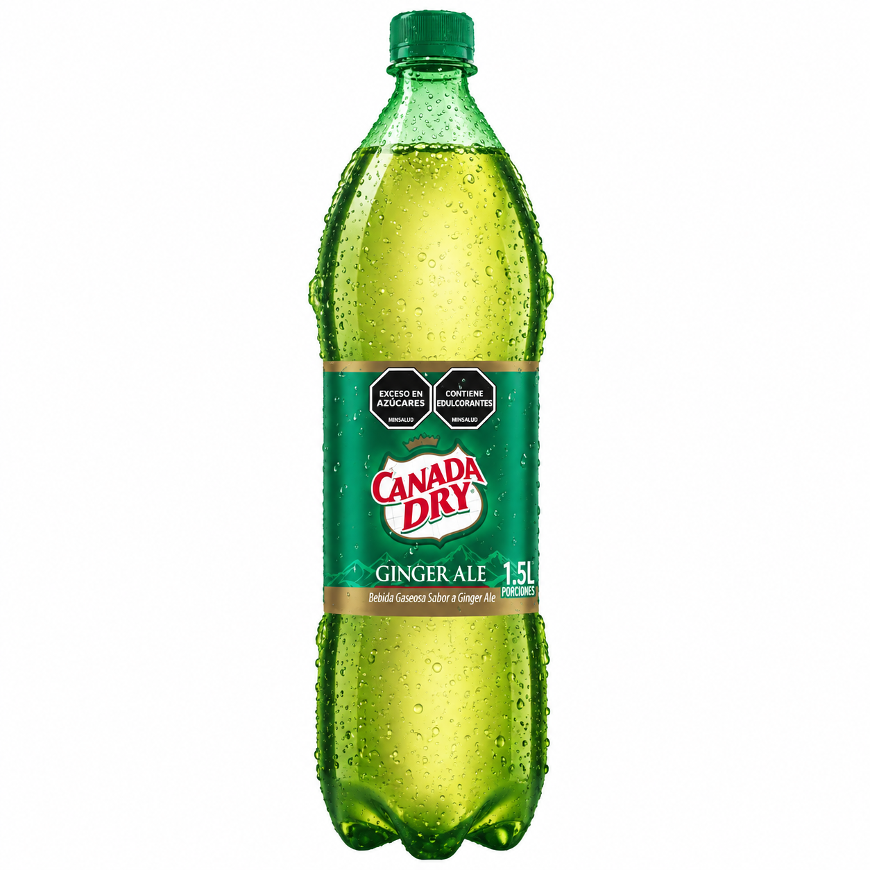 Foto · Ginger Canada Dry 1.5 Lt