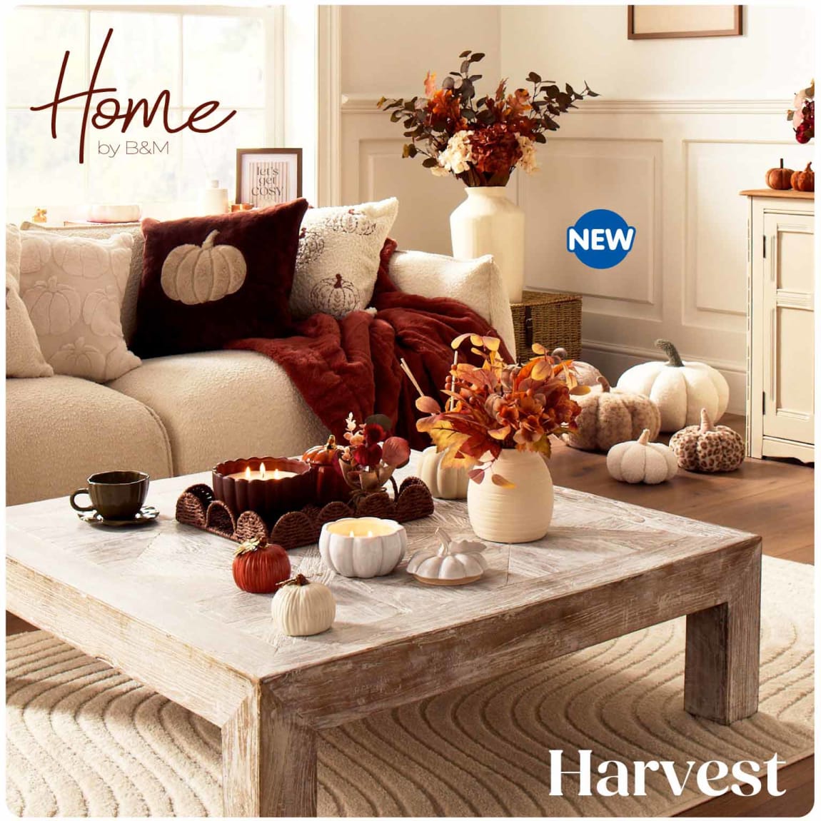New Harvest Trend at B&M.