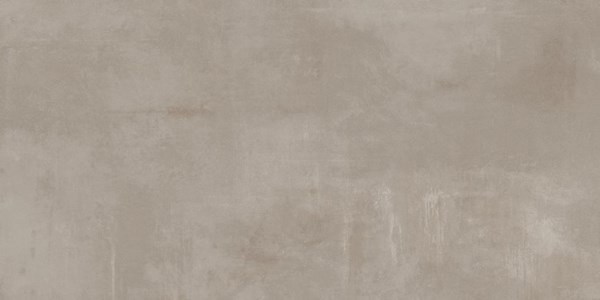 Dalle "Igor" Gris clair 60 x 120 cm