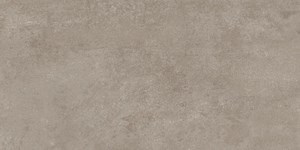 Dalle "Igor" Gris clair 30 x 60 cm