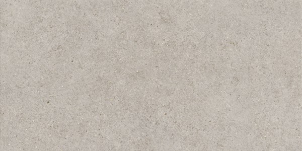 Dalle "Udo" Gris clair 60 x 120 cm