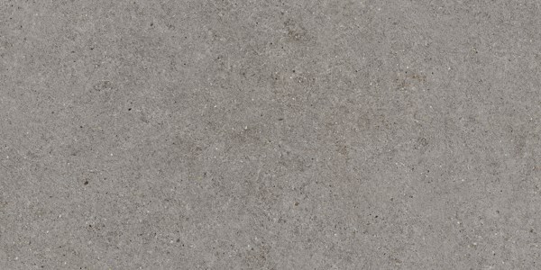 Dalle "Udo" Gris foncé 60 x 120 cm