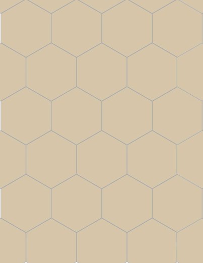 Dalle "Bolivie" Beige 20 x 23 cm