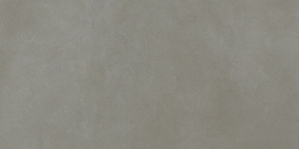 Dalle de terrasse "Waldsee" Gris clair 60 x 120 cm