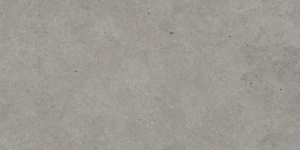 Dalle "Engel" gris béton 60 x 120 cm