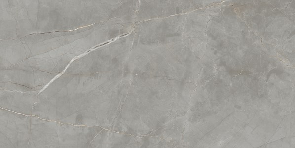 Dalle "Elton" Gris clair 60 x 120 cm