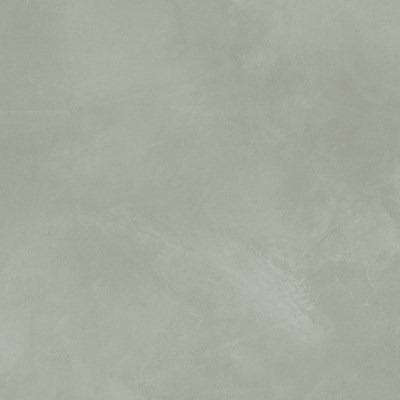 Dalle "Ronco" Gris clair 80 x 80 cm