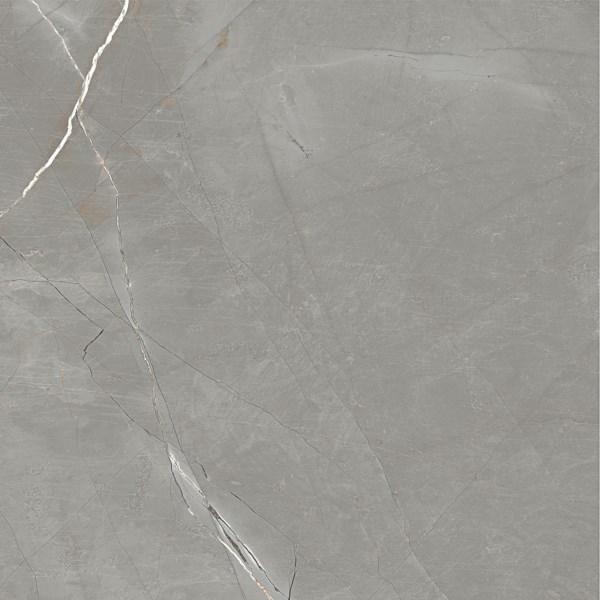 Dalle "Elton" Gris clair 120 x 120 cm