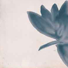 Bodenplatte "Eichberg" Weiss 15 x 15 cm