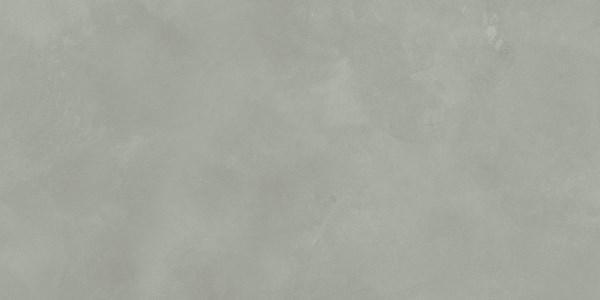 Dalle "Ronco" Gris clair 60 x 120 cm