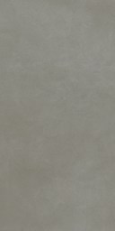 Dalle "Waldsee" Gris clair 60 x 120 cm