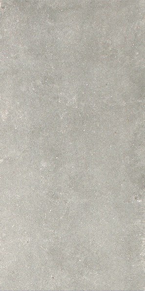 Dalle "Felix" Gris clair 30 x 60 cm