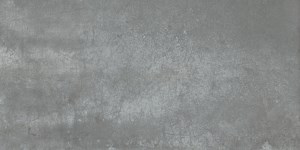 Dalle "Tami" Grise 30 x 60 cm